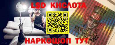 шишки Тверь