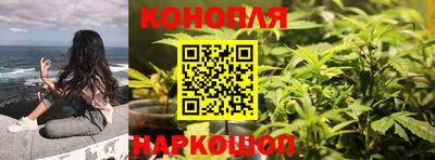 прущие грибы Туймазы