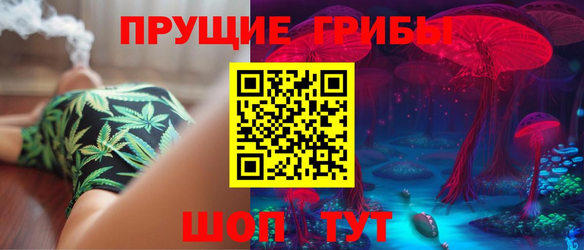 Псилоцибиновые грибы MAGIC MUSHROOMS Камышлов
